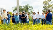 JORNADA TÉCNICA EN PREDIO NORTE DE FEXPOCRUZ: En parcelas demostrativas, rumbo a Expoagro 2026