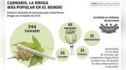 EL cannabis continúa siendo la droga más utilizada en el mundo