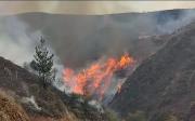 Incendio forestal en Tarija se cobra la vida de una persona