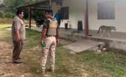 Violento atraco a mano armada en Buena Vista: Delincuentes maniatan a sus víctimas y roban una camioneta