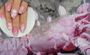 Cómo es la manicura marina, el arte de uñas inspirado en la investigación del CONICET en el Mar Argentino