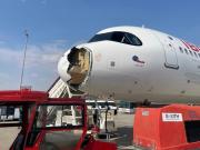 Insólito: un avión chocó con un pájaro, destrozó la trompa en pleno vuelo y tuvo que aterrizar de emergencia en Madrid