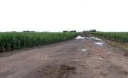 El interior de la Provincia reclama por el mal estado de los caminos rurales