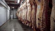 “La baja de precios de la carne en la Patagonia es dispar y aún no llegó al productor”
