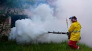 China impone cuarentenas por un brote de chikungunya y enciende alarmas globales