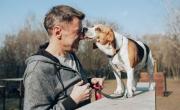 No es por cariño: una veterinaria reveló el verdadero motivo detrás de los besos de perros
