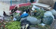 Bloqueo en el botadero de Alpacoma provoca acumulación de basura en varias zonas de La Paz
