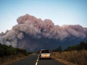 Devastador incendio forestal en Francia: una mujer muerta, una autopista colapsada y más de 11.000 hectáreas arrasadas por el fuego