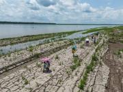 Tensión diplomática: Colombia acusa a Perú de apropiarse de una isla en el río Amazonas