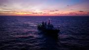 Furor por las nuevas especies descubiertas por la exploración submarina del CONICET