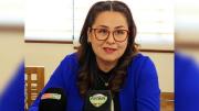 Mendoza: “No vamos a poner ni un peso, ni dos bolsas de helados”