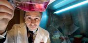 Los secretos de David Sinclair, el científico que revolucionó la biología humana y rejuveneció 10 años