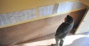 Cambios en el padrón: la Justicia aseguró que la gran mayoría votará “más cerca” de su casa
