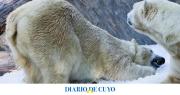 Un zoológico pide mascotas de los vecinos para alimentar a sus animales
