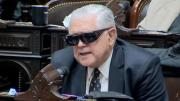 Memes y reacciones por el particular look de Ricardo López Murphy en el debate legislativo