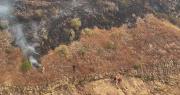 Incendio en la serranía de Sama se reactivó pero fue controlado, señala la Alcaldía de Tarija