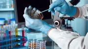 La biotecnología argentina requiere una urgente reforma en propiedad intelectual