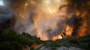 Incendio forestal en Francia arrasó con más de 17.000 hectáreas: “Es una catástrofe sin precedentes”