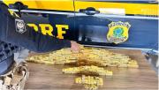 Decomisan la mayor carga de oro ilegal de la historia