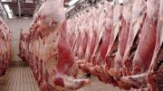 Fernando Canosa: Tenemos la carne de mejor calidad del mundo y la más accesible para el bolsillo local
