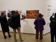 Bienalsur 2025: La bienal de arte contemporáneo ya fue visitada por miles de personas y sigue en 140 sedes