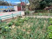 Más de 85 tarijeños luchan contra el alcoholismo en La Colmena