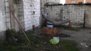 El asesino serial de indigentes alimentaba a los perros callejeros con sus cadáveres