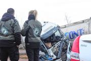Ruta 7 con operativo muy fuerte por los múltiples choques fatales camino a Vaca Muerta: cuándo comienzan
