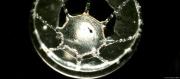 HALLAN EXTRAÑA FRONTERA OCEÁNICA QUE LAS MEDUSAS NO CRUZAN
