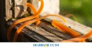 Para qué sirve colocar cáscaras de zanahoria en los marcos de las ventanas