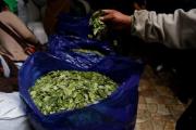 Los comerciantes de hoja de coca rechazan la entrega de nuevas licencias