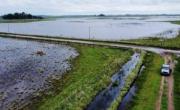 La abundante agua causa perjuicios en el campo bonaerense
