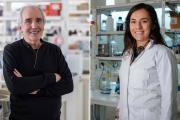 Dos científicos de Conicet ganan un prestigioso premio nacional: Alberto Kornblihtt y María Laura Mascotti