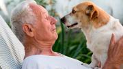 Los “besos” de los perros no siempre son por cariño, según una veterinaria