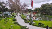 Un viaje a Japón, pero en Buenos Aires: guía para visitar el Jardín Japonés de Palermo