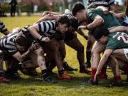 Susto en el rugby de Mar del Plata: un jugador de intermedia convulsionó en pleno partido y se suspendió el juego de Primera