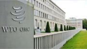 La OMC mejora su proyección de comercio mundial a pesar de los aranceles de EEUU