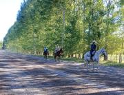 Turismo de cercanía: una granja para que los chicos salgan a jugar y a conectar con la naturaleza