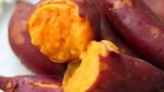 ¿Cuáles son las principales diferencias entre la batata y el boniato?
