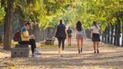 Pronóstico del tiempo en Mendoza: este domingo estará agradable pero se viene el Zonda