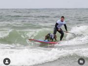 Cacau, la labradora brasileña que por segunda vez fue elegida como la mejor perra surfista del mundo