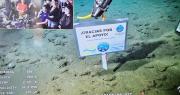 “Gracias por el apoyo”: el mensaje de los científicos del Conicet desde el fondo del Mar Argentino
