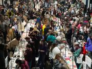 FED 2025: Un éxito rotundo para el libro independiente con ventas que superan el 30% y 30 mil asistentes