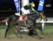 Turf: Standartd ganó y ya apunta al Gran Premio “Batalla de Tucumán”