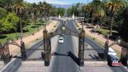 A 80 años de Hiroshima y Nagasaki, en Mendoza hay dos árboles de una especie que sobrevivió a las bombas