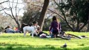 Cómo estará el clima esta semana en el AMBA: continúa el buen tiempo, pero la vuelta de la lluvia tiene fecha
