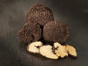 Qué son las trufas negras y cómo mejoran tu salud si las sumás a tu dieta