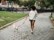Por qué caminar todos los días mejora tu salud y tu mente