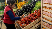 Comer, un lujo en la era Milei: las frutas y las verduras aumentaron un 20% en julio, pero el Gobierno estima una inflación de menos del 2%