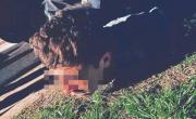 Tenía en vilo a Barrio Jardín y pudieron cortarlo de raíz